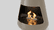 Automatic bio-fireplace 2x2P, bottom 750 mm, Muscle-beige color